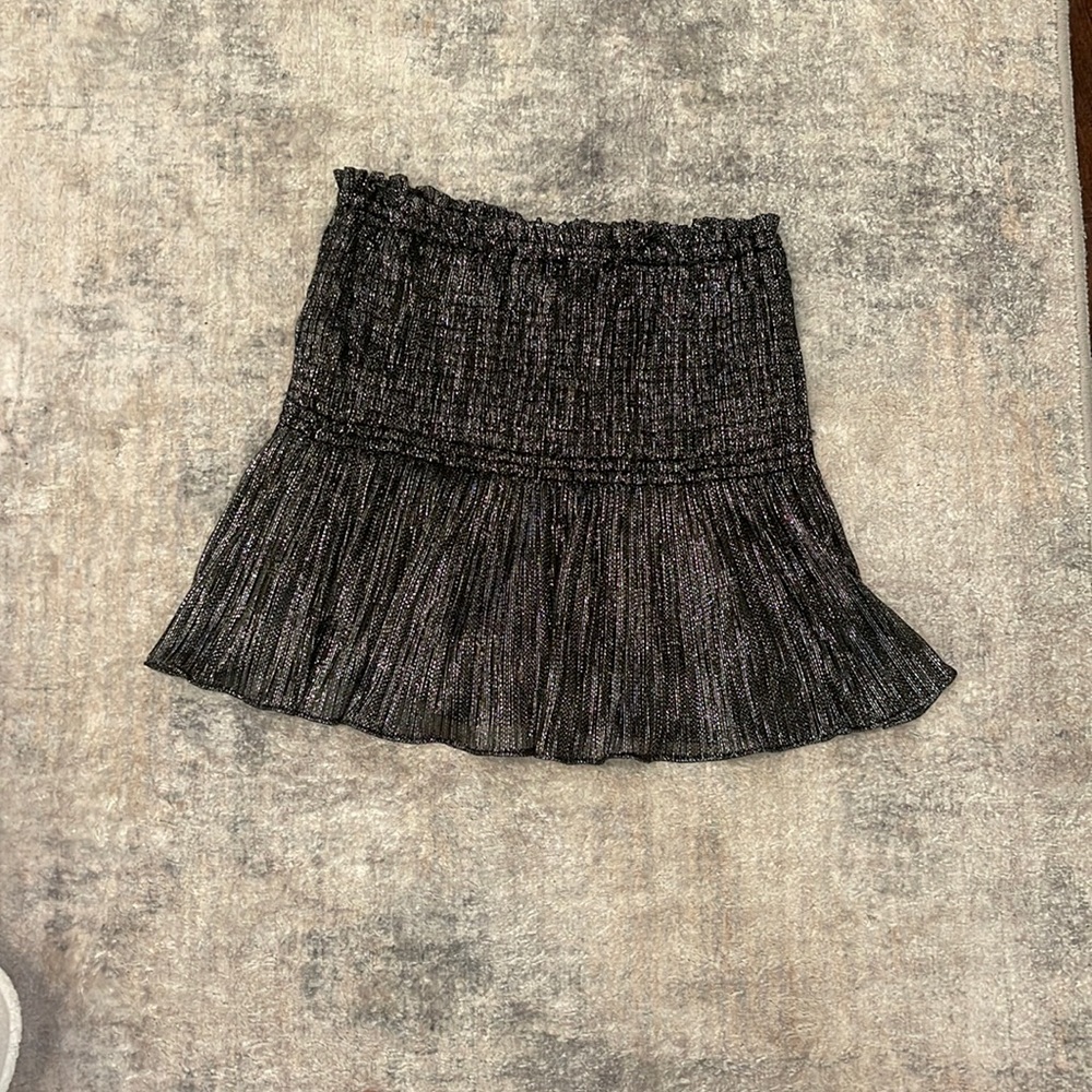 zara sparky skirt